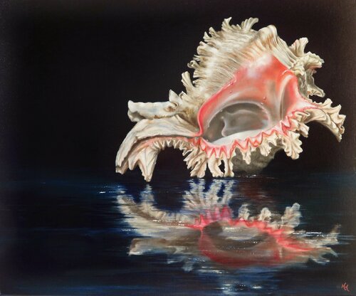 Murax shell von Nanda Hoep, Malerei kaufen auf Singulart