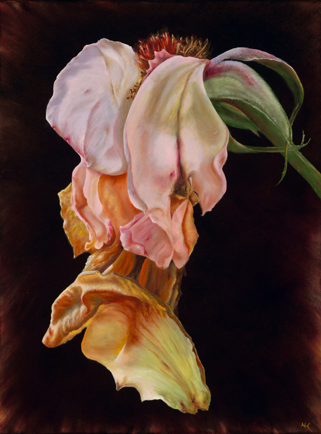 Goodbye English Rose Nanda Hoep