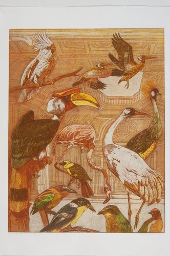 The museum of ornithology 2 von Annemarie Petri, Druck kaufen auf Singulart