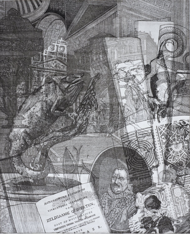 The world, Naturalis historia 1 Annemarie Petri