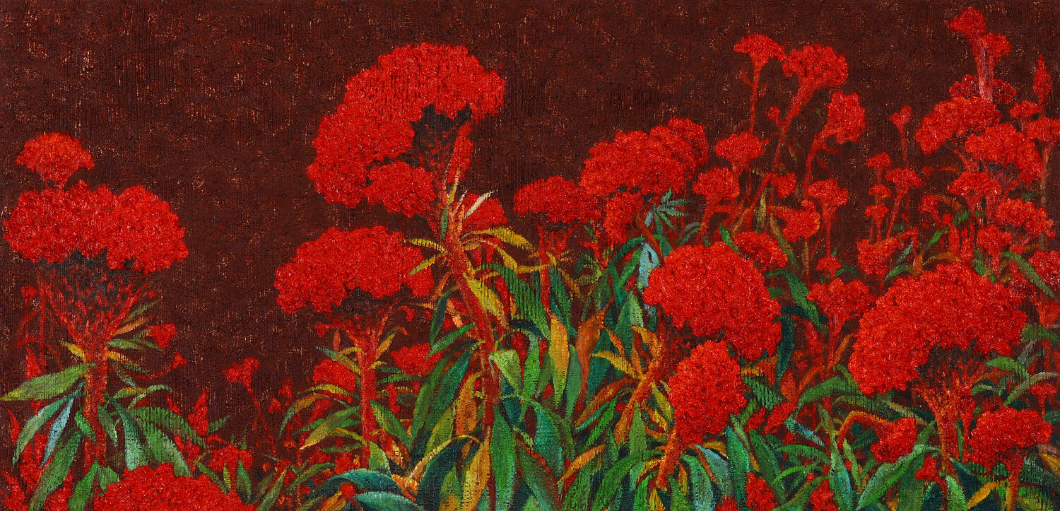 cockscomb Sook Kim