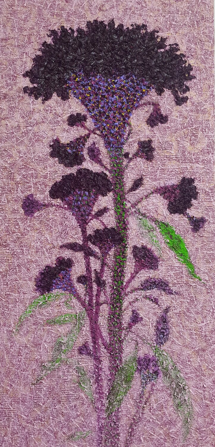 cockscomb - gentleman Sook Kim