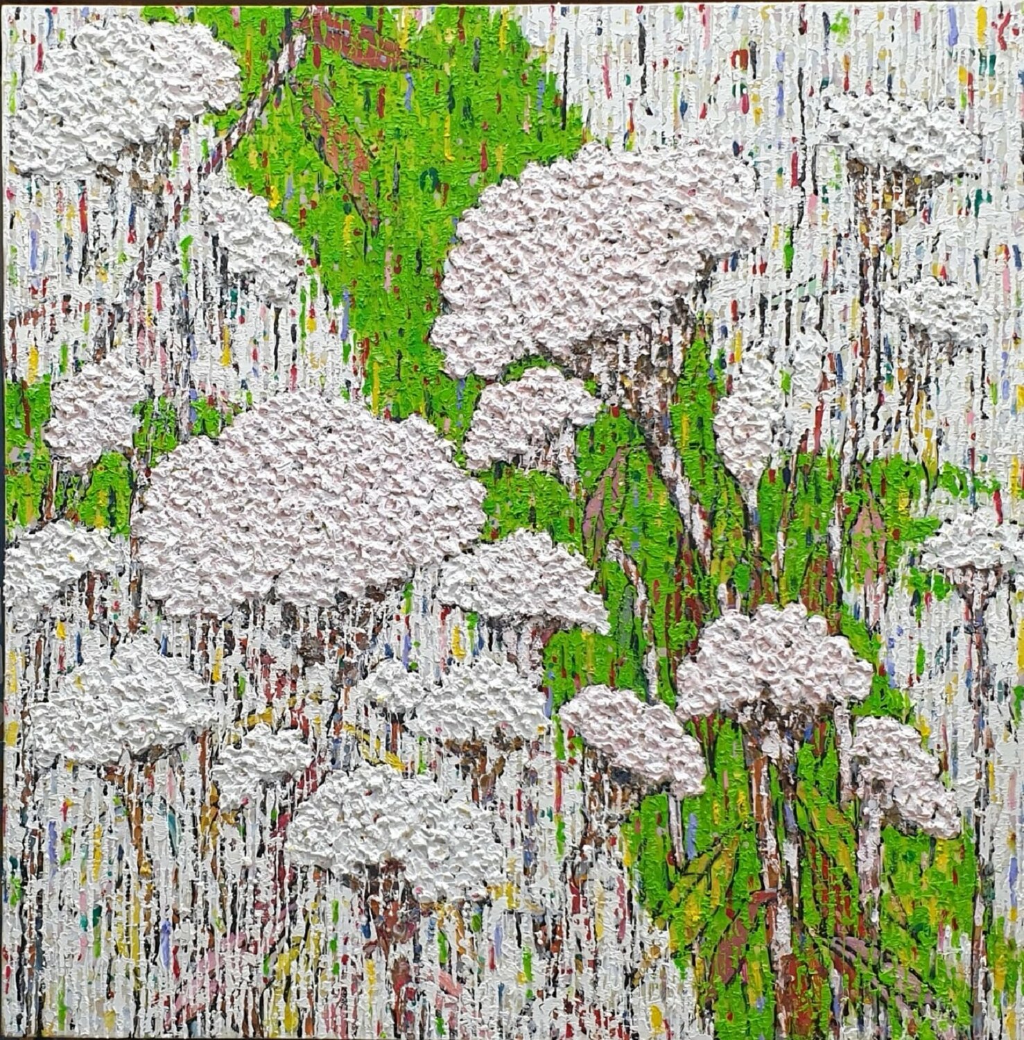 cockscomb - emotion Sook Kim