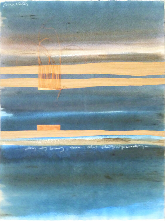 "aiguamolls" Anna Valls
