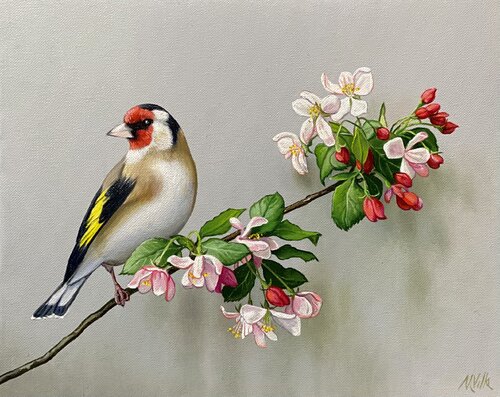 Il melo e il cardellino by massimo villa, Painting for Sale on Singulart