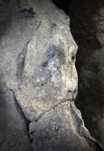 Strange portret of Gauguin found art urbex urban exploration photography original art by O KLOSKA by Ovidiu Kloska, 사진 for Sale on Singulart