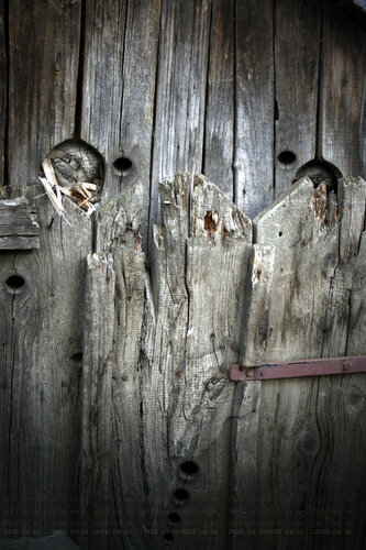 THE UNIQUE ART SIGNED BY OVIDIU KLOSKA FOUND FACES IN NEAR REALITY URBAN EXPLORATION von Ovidiu Kloska, Fotografie kaufen auf Singulart