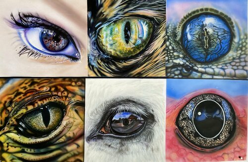 Eyes can talk… by Dolgor Dugarova, 紙面作品 for Sale on Singulart