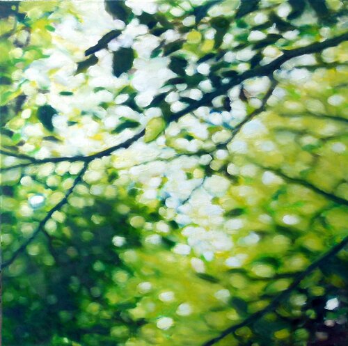 Gegenlicht Heidi Lauter