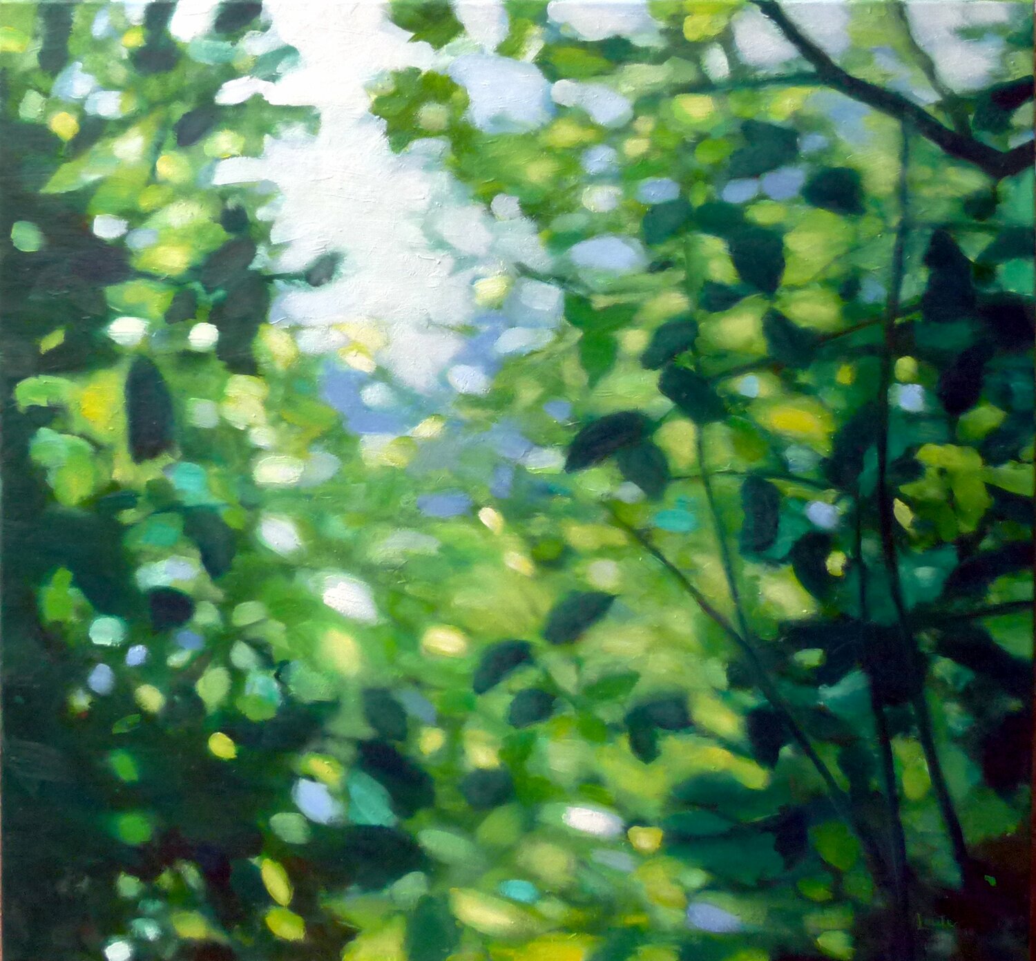 Landscape Heidi Lauter