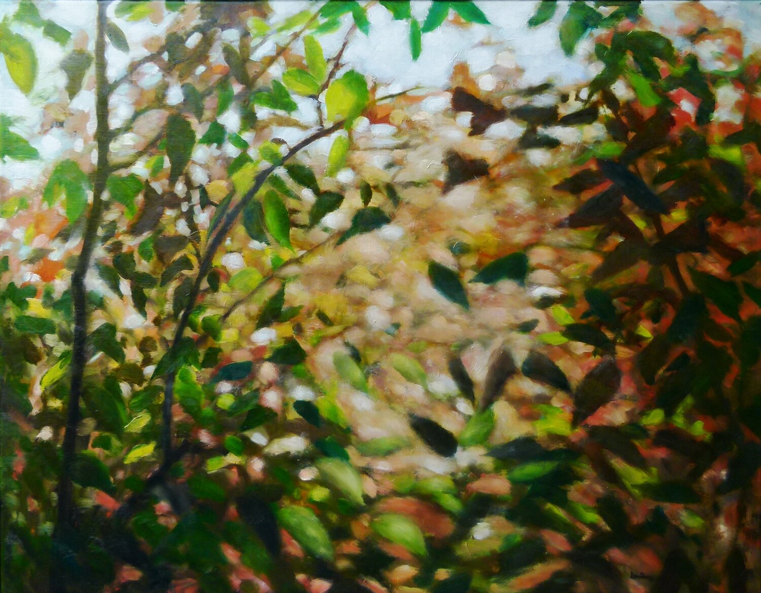 landscape Heidi Lauter