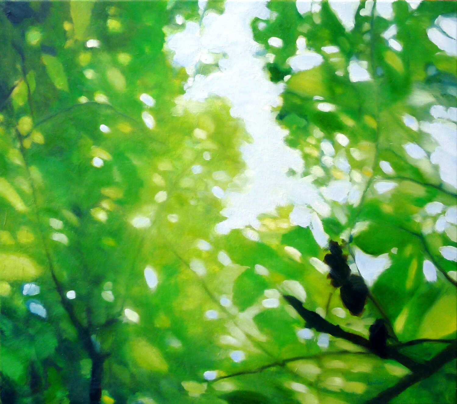 Landscape Heidi Lauter