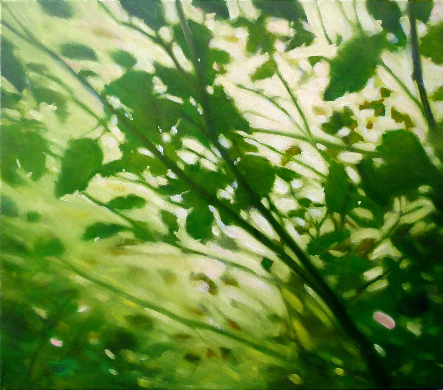 Landscape Heidi Lauter