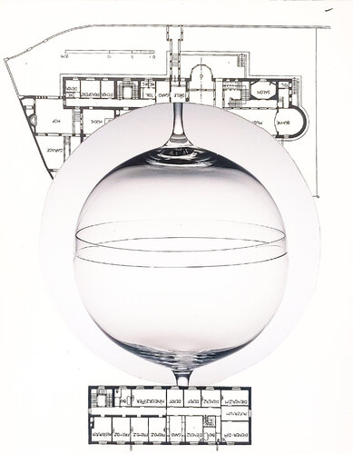 Stark Bloom di Matthew Dibble, Opera su carta in vendita su Singulart