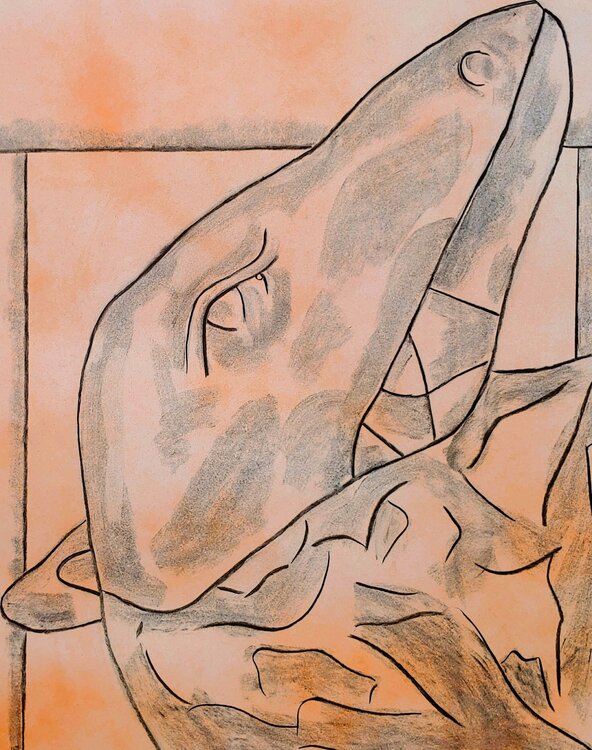 Nameless Visitor Matthew Dibble