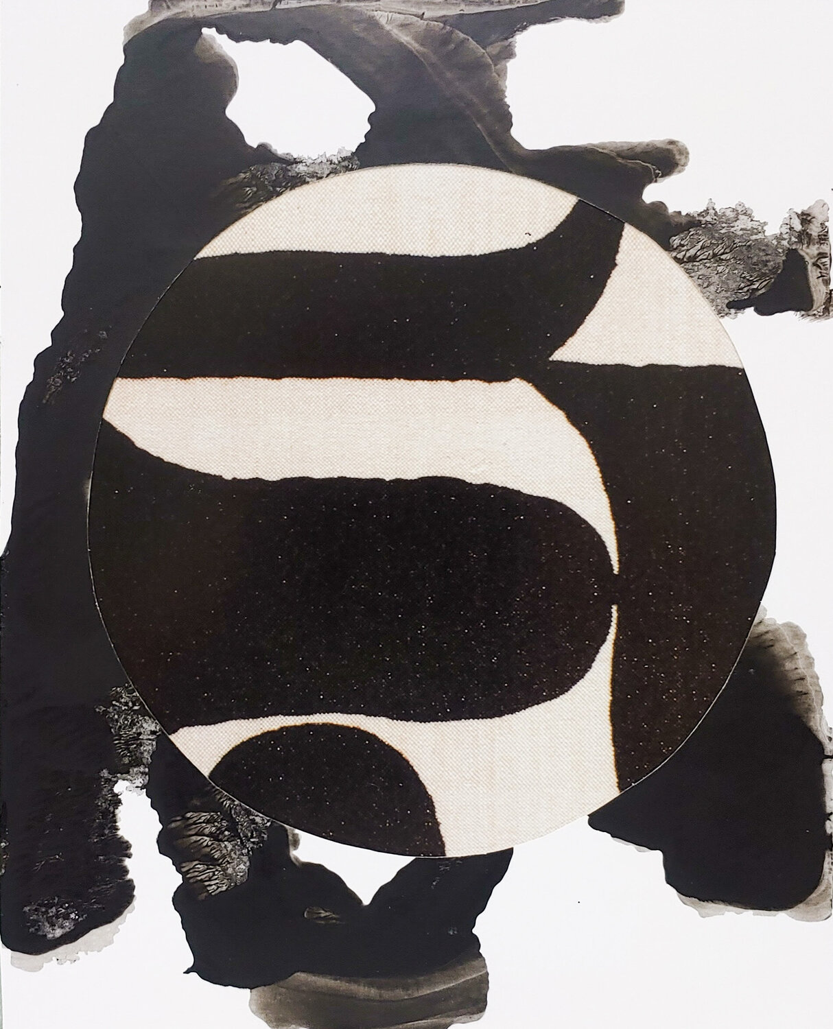 Buried Truth Matthew Dibble