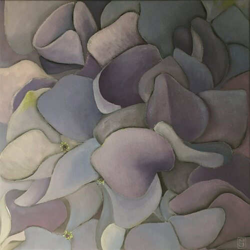 Hidrangea 3 Maryda Geraci
