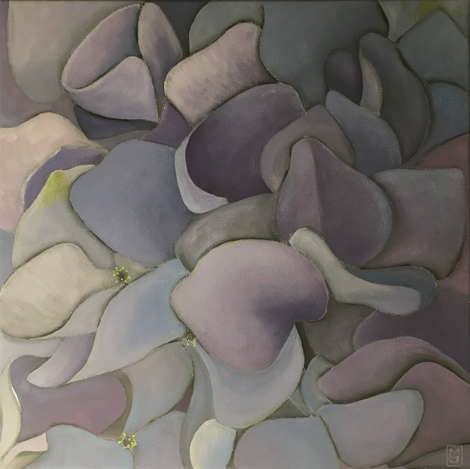 Hidrangea 3 Maryda Geraci