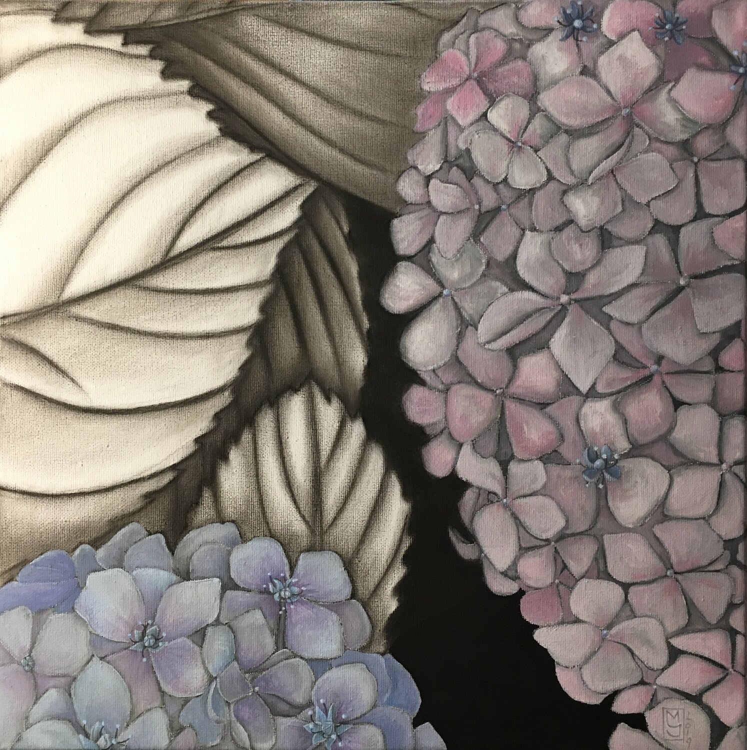 Hidrangea 2 Maryda Geraci