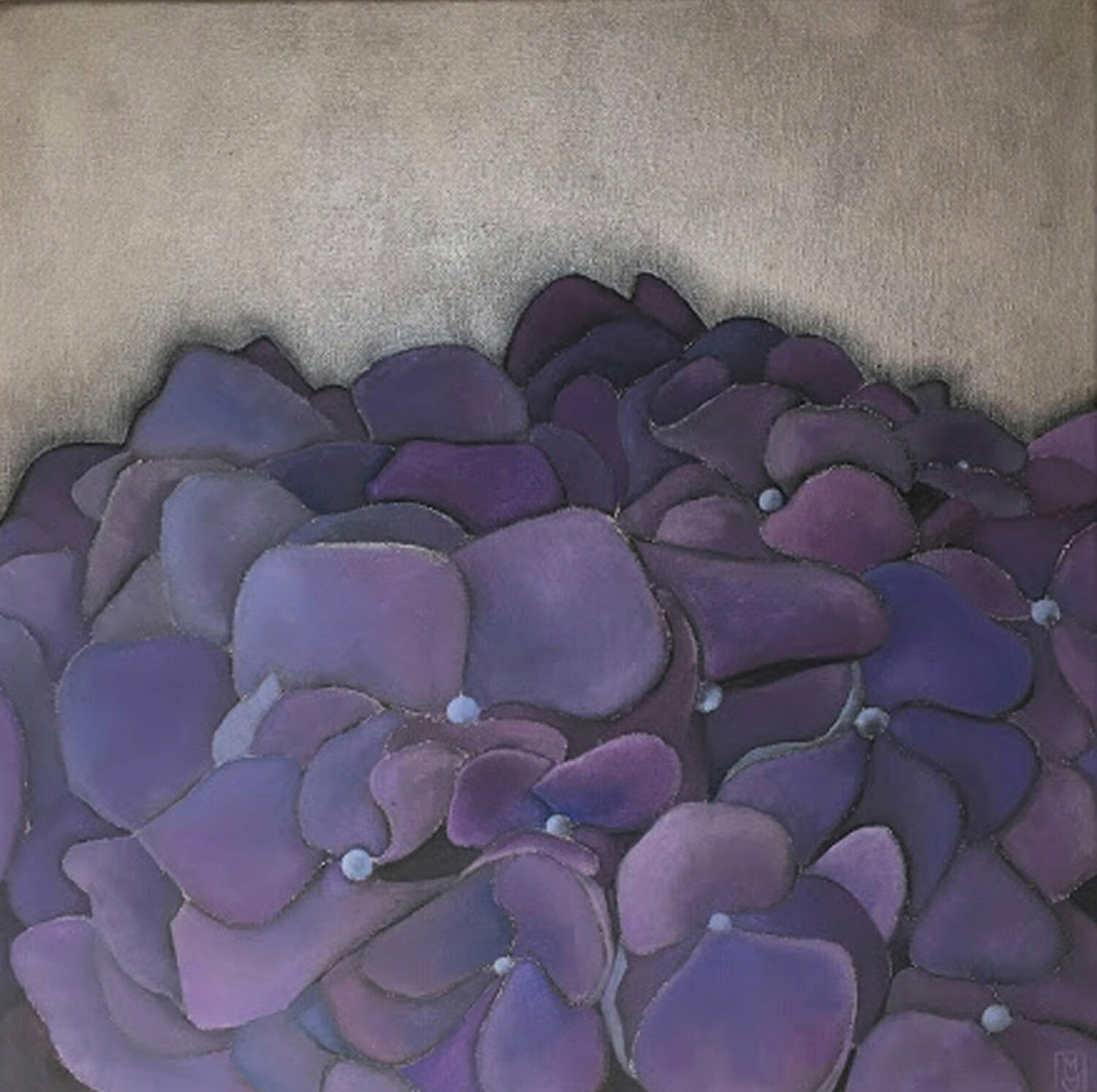 Hidrangea 4 Maryda Geraci