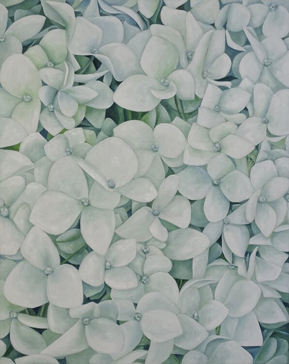 Amor a primera Vista Filiberto Montesinos Castañón