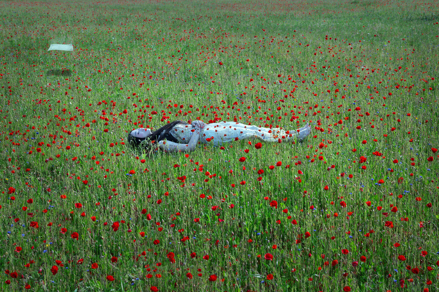 Don de Soi ( N° XXI ) Kaixuan Feng
