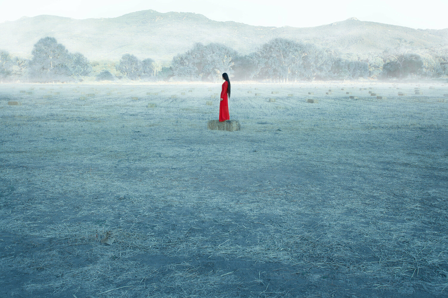 Don de Soi ( N° XXVII ) Kaixuan Feng