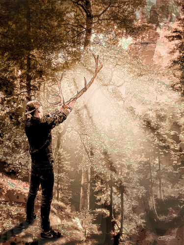 Der Ruf im Wald von Carola E. Thiele, Digital kaufen auf Singulart