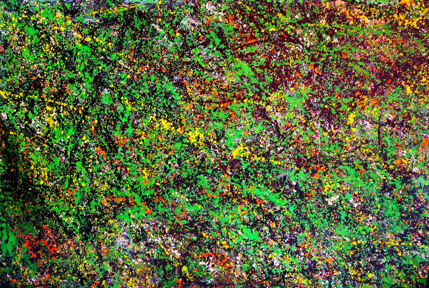 Amazonia Juan Varela