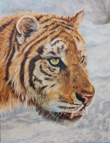 SIBERIAN TIGER PRINCE di Peter Goodhall, Pittura in vendita su Singulart