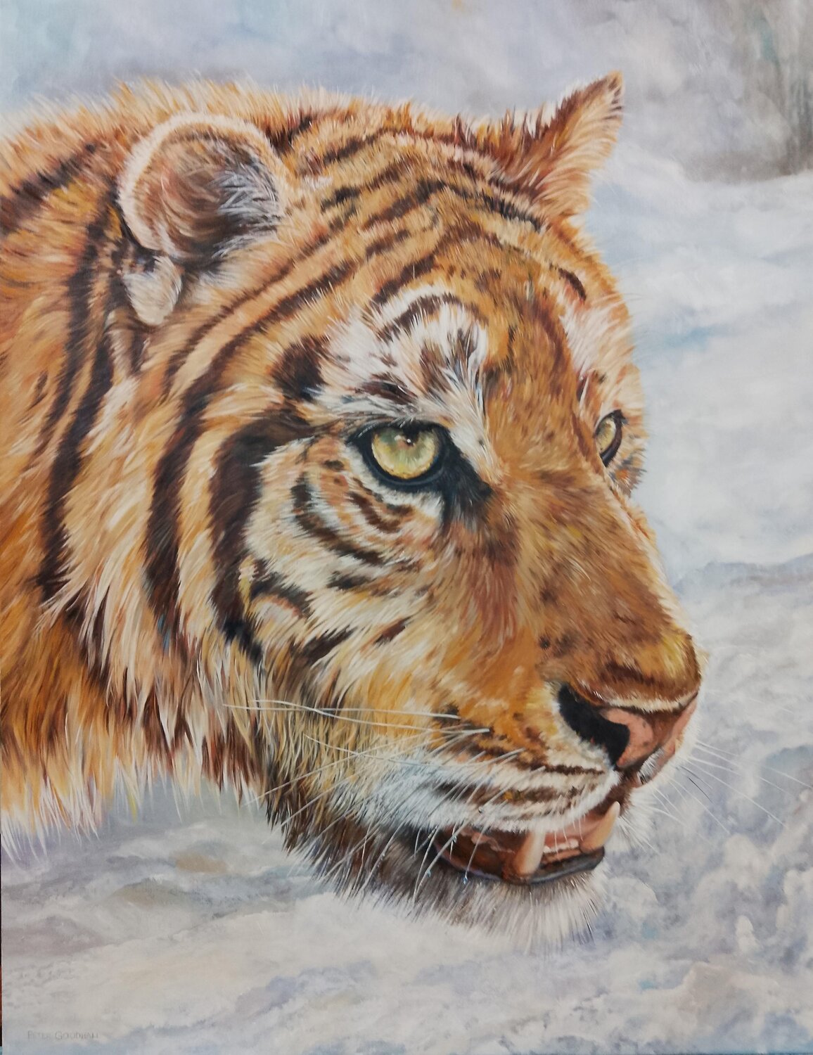 SIBERIAN TIGER PRINCE Peter Goodhall