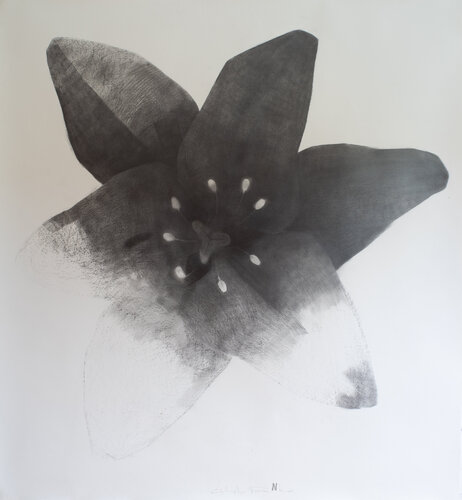 Black Lily von Glib Franko, Zeichnungen kaufen auf Singulart