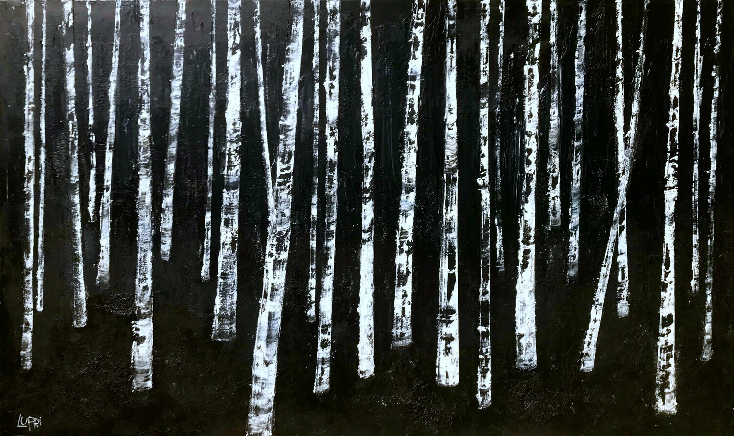 Blinded By the Light, Darkly Matthias Lupri