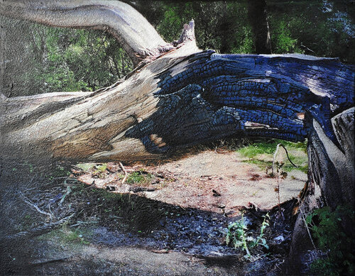 Charred tree Brienenoord island di Karin Vermeer, Pittura in vendita su Singulart