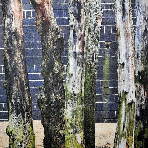 la plage, Saint-Malou. Artwork van Karin Vermeer, Schilderij te koop op Singulart