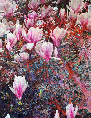 Magnolia di Karin Vermeer, Pittura in vendita su Singulart
