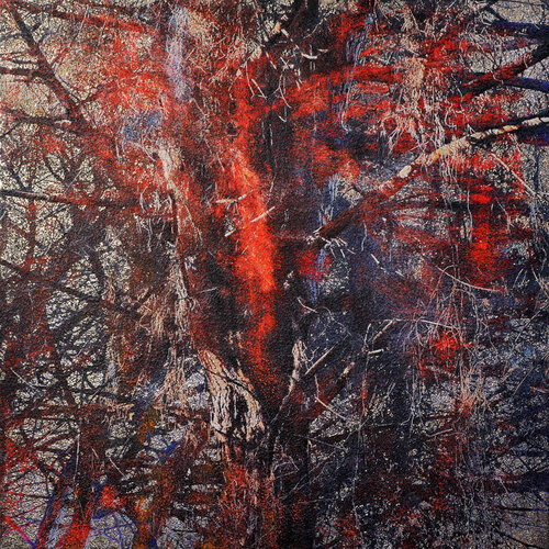 Bibbona fire tree par Karin Vermeer, Peinture en vente sur Singulart