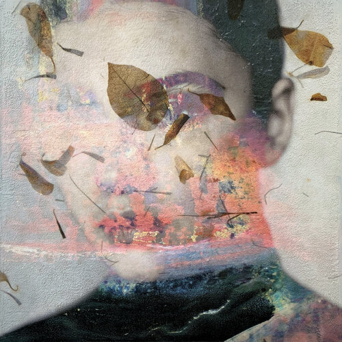 Diaspore van Karin Vermeer, Schilderij te koop op Singulart