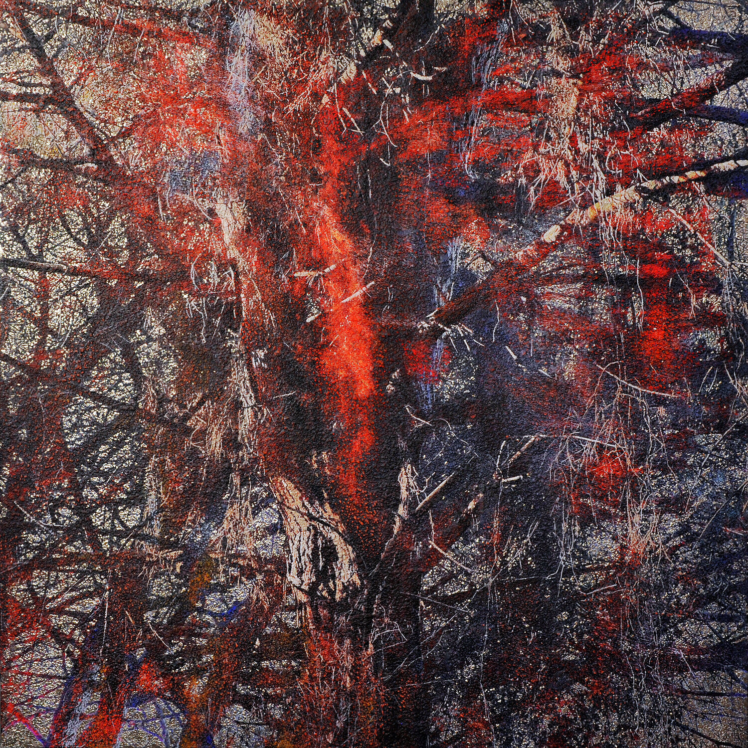Bibbona fire tree Karin Vermeer