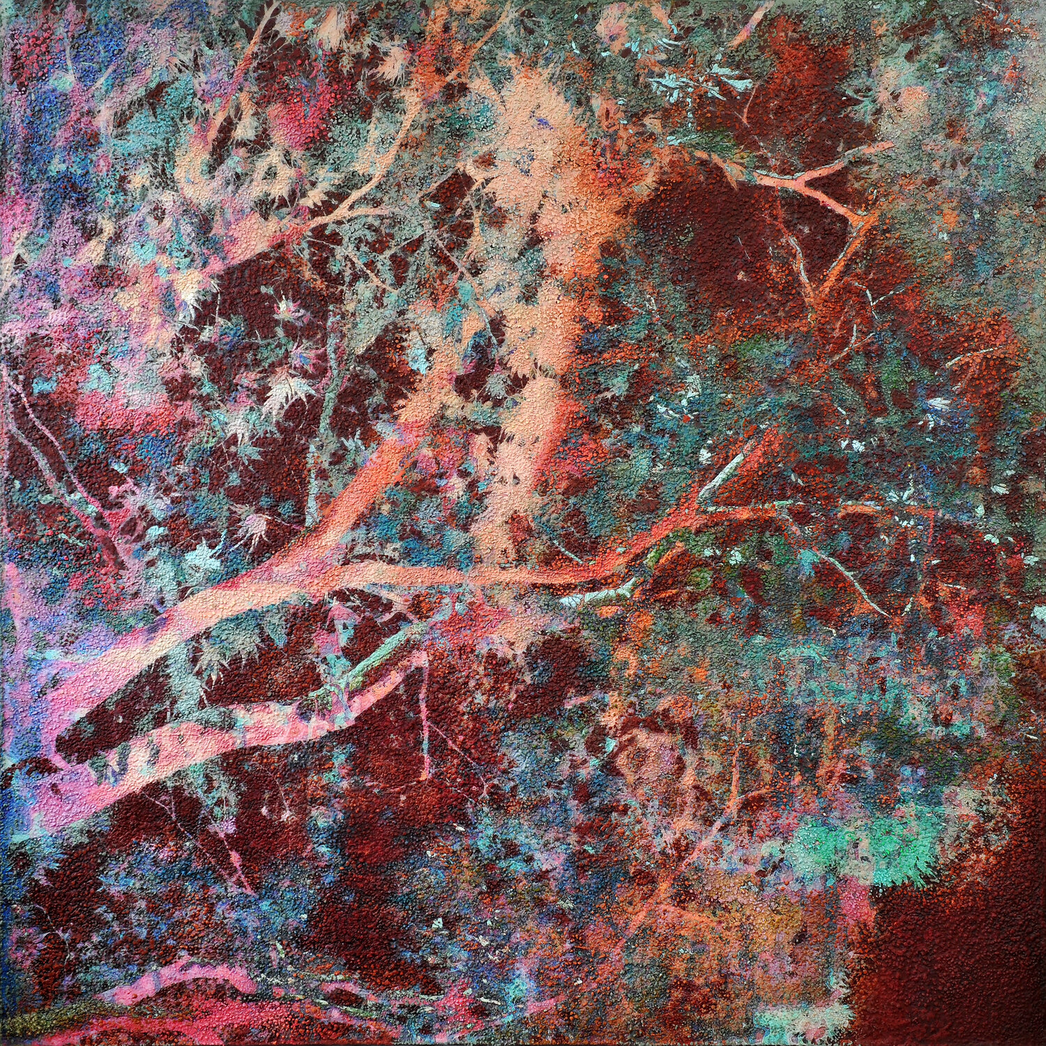Oxidized burgundy tree leaves Karin Vermeer