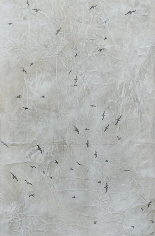 5. Insight Series Jessie Pitt