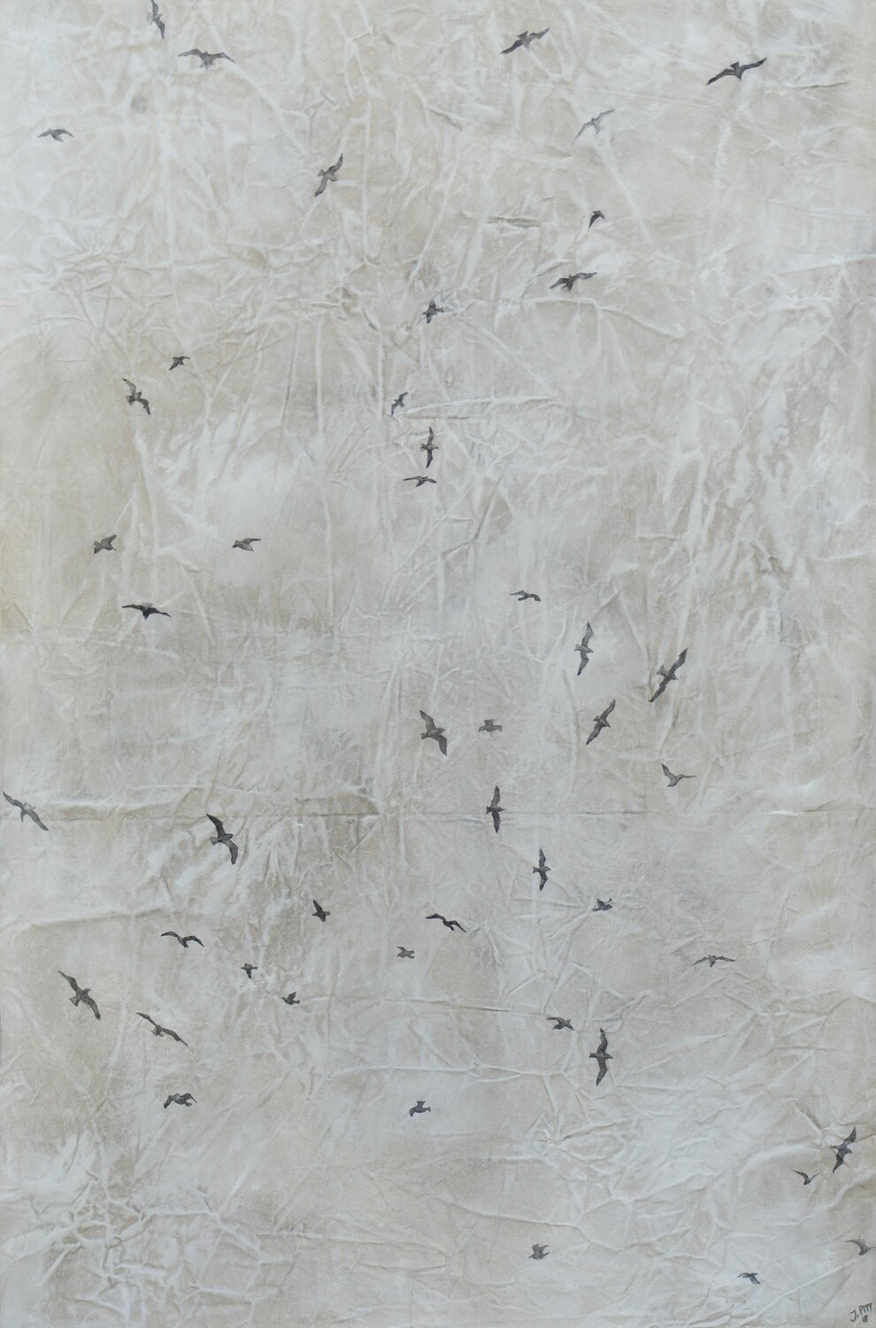 5. Insight Series Jessie Pitt
