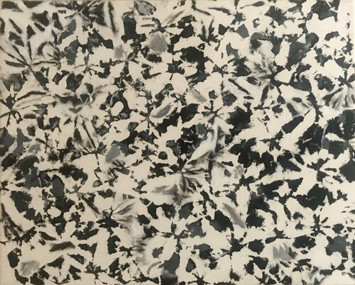 Flutter in Black and White Ezra Bejar