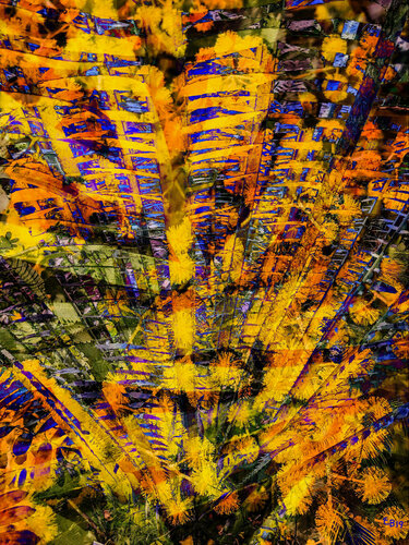 Fragmentos en Ascenso by Ezra Bejar, Painting for Sale on Singulart