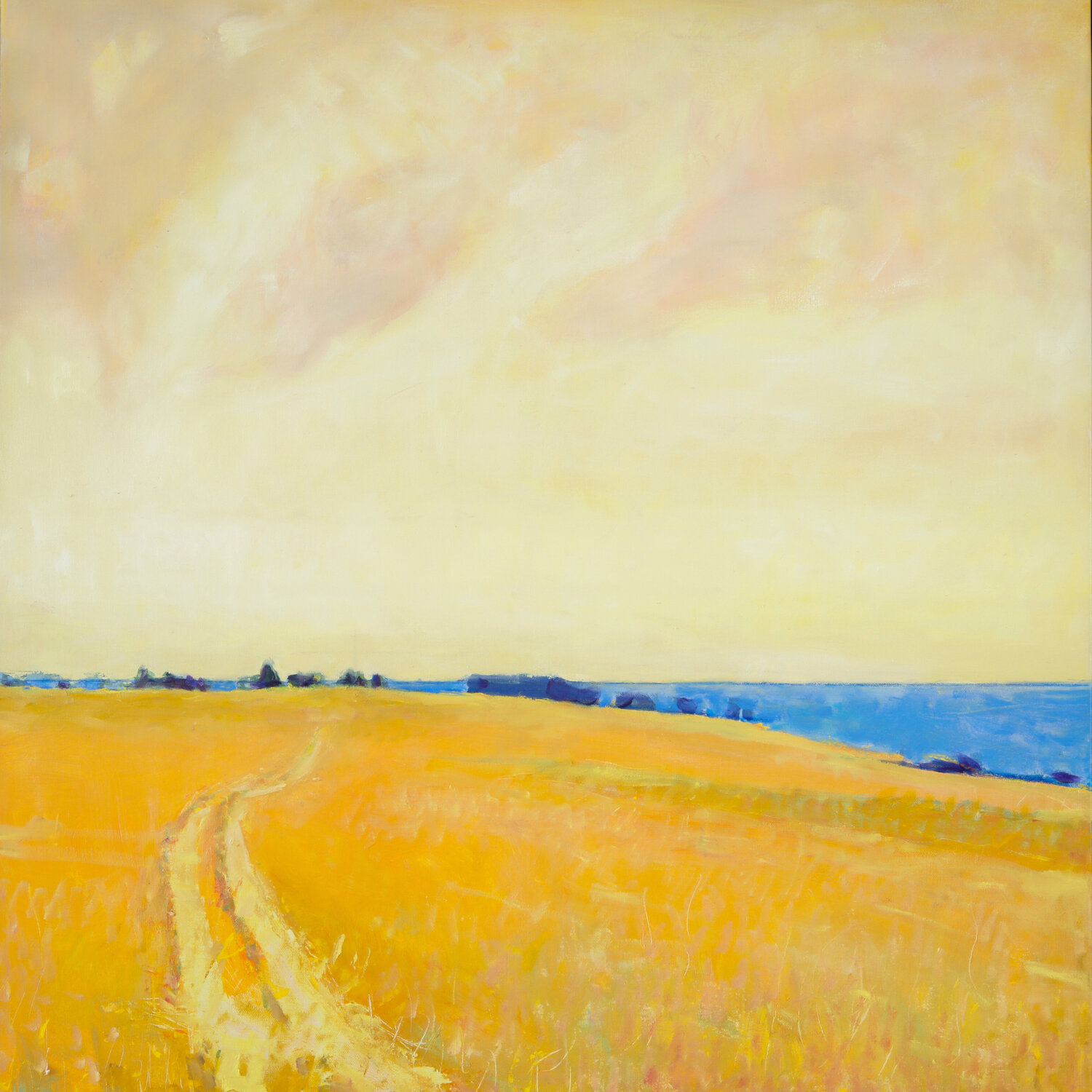 Near Odessa Ukraine Bo Kravchenko