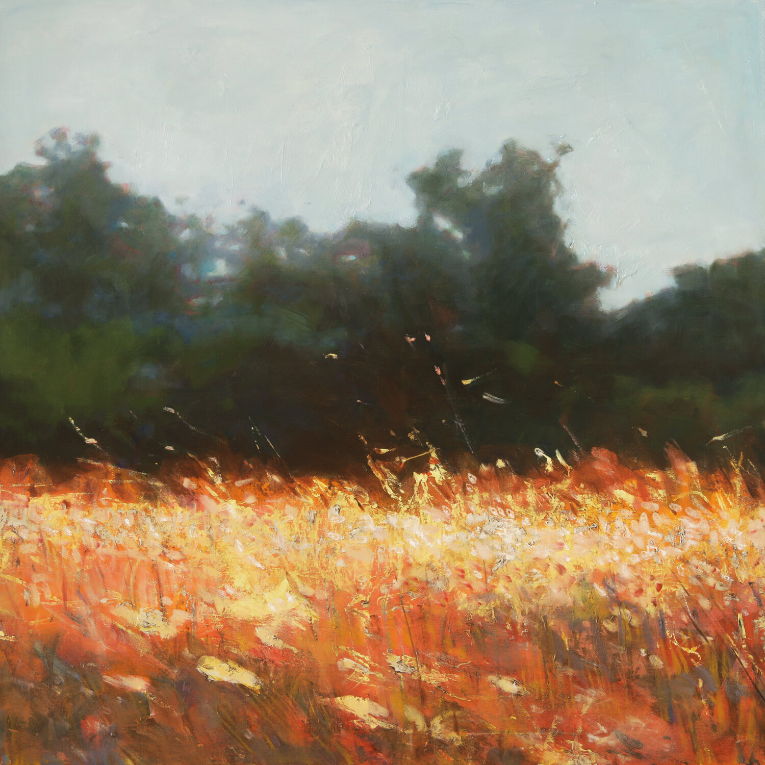 Lying in the grass Bo Kravchenko