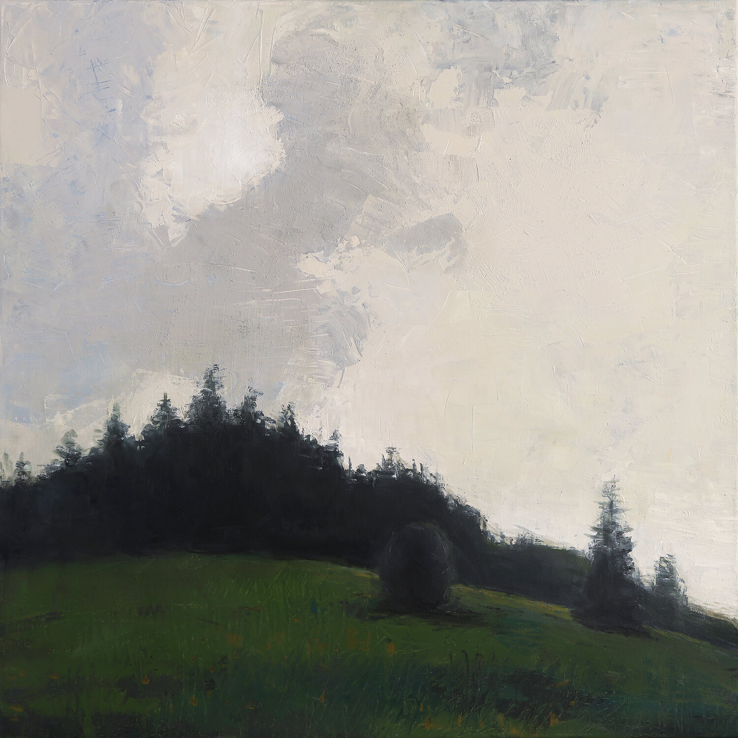 Mountain slope with conifer forest Bo Kravchenko