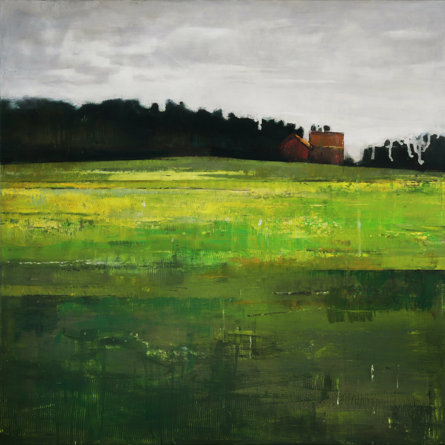 Edge of the forestry land Bo Kravchenko