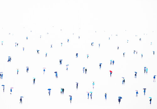 Sky Fall 34 Stephanie Ho