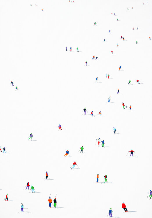 Frozen Planet 85 Stephanie Ho